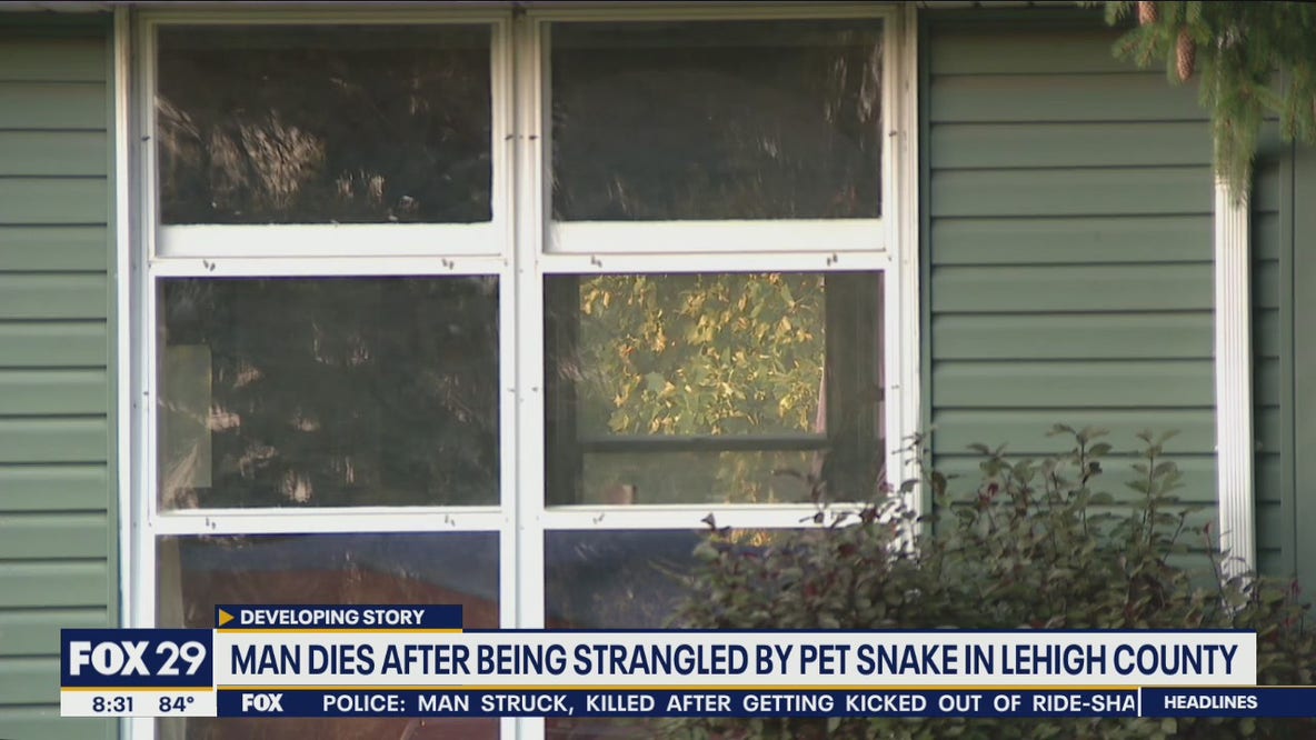 Man dies after being strangled by pet snake in Pennsylvania